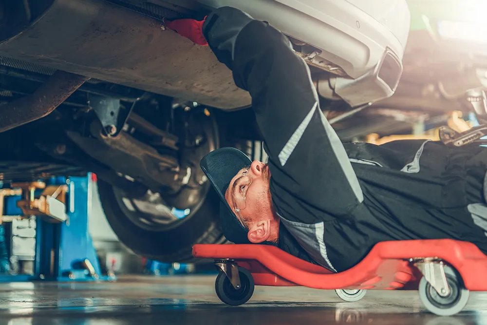 Exhaust System Overview